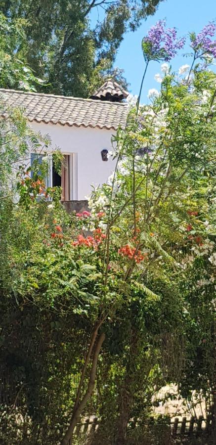 Casa El Soto Vejer de la Frontera Exterior foto